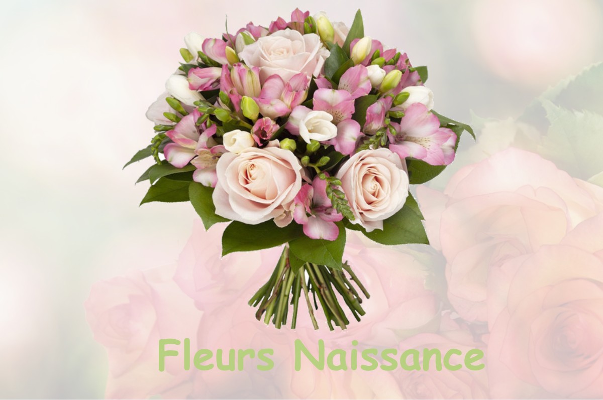 fleurs naissance NOISY-LE-SEC